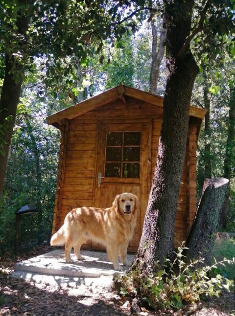 casetta in legno, casetta da giardino, casette italia