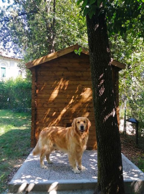 casetta in legno, casetta da giardino, casette italia