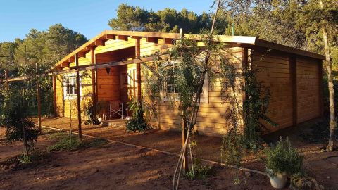 chalet in legno, casette abitabili, ponza