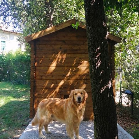 casetta in legno, casetta da giardino, casette italia
