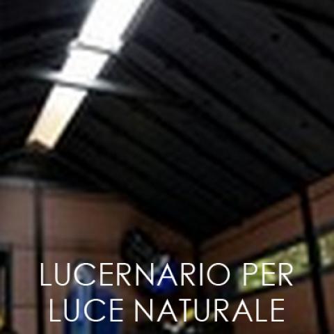 casette da giardino NETWON WOODSHIELD