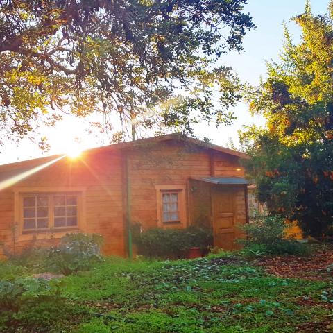 chalet in legno, casette abitabili, ponza